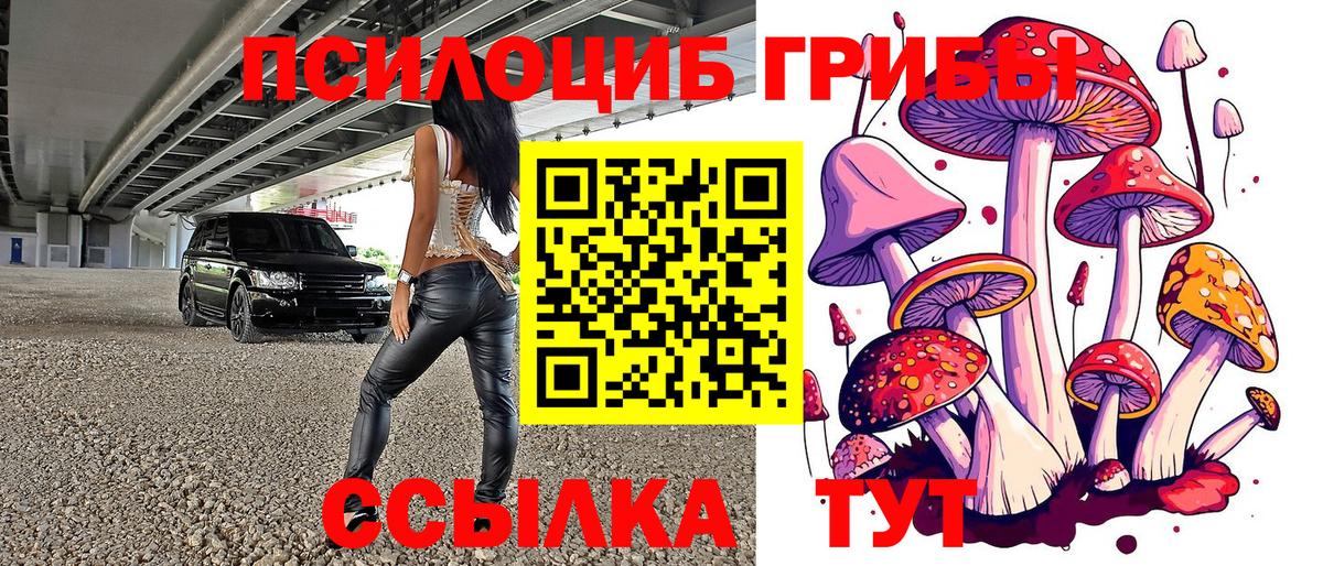Псилоцибиновые грибы Psilocybe  Вход с VPN  Екатеринбург  Псилоцибиновые грибы Psilocybine cubensis 